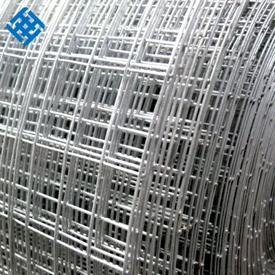Wholesale Cheap Price 1/4 Inch Welded Rabbit Cage Wire Mesh for Chicken Coop Cage