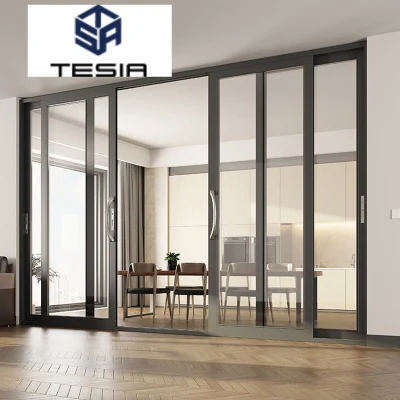 Framed Panel Double Tempered Glass Heavy Duty System Sliding Door
