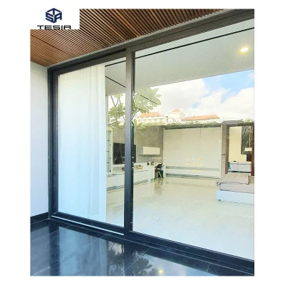 Framed Panel Double Tempered Glass Heavy Duty System Sliding Door