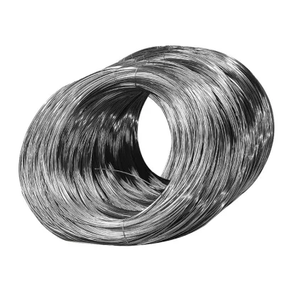 Ss Wire 304 304cu 316 201 316lvm 430 420 Er308L 309S Bright/ Tinny/Spring/Welding Stainless Steel Wire 310S Stainless Steel Wire Price