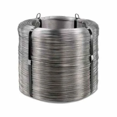 China Products/Suppliers. Cold Drawn Steel Welding Wire Champion AISI 304 316 410 430 Stainless Steel Wire for Wire Mesh with CE Certificate