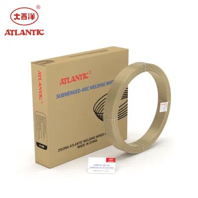Atlantic MIG Welding Wire CO2 Welding Wire EL12 Stainless Steels Flux Cored Welding Wires Low Price