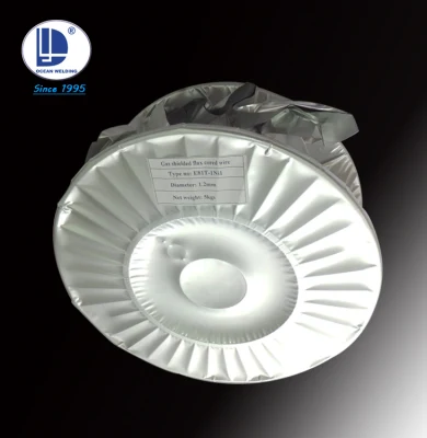  Aws A5.22 Aws E309lt1-1 Flux Cored Stainless Steel Wires