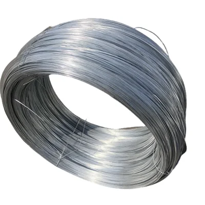 0.20-10.00 mm Wholesale Galvanized Steel Wire&Hard Drawn Wire &Oil Tempered Wire&Alloy Wire&Spring Steel Wire