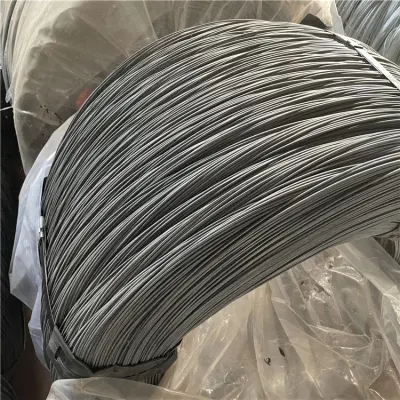 Steel Wire Spring Stainless Wire Form Spring Factory Direct Supply