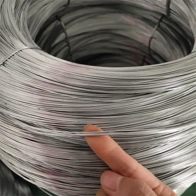  Factory Hot/Cold Rolled Low/High Carbon/Ms Steel Wire Rod SAE 1008 /1006 5.5 6.5 3.0 3.2mm Q195 Q235 Hot Dipped Gi Steel Nail Welding Rod Wire