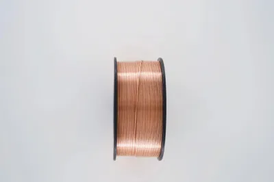  OEM Aws Er70s-6 Gas Shielded Copper Welding Wire 0.6