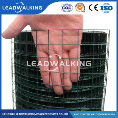  1 2 Inch Mesh Galvanized Welded Wire Mesh Price for Cage/ Chicken Wire Mesh/ Rabbit Wire Mesh/Fence