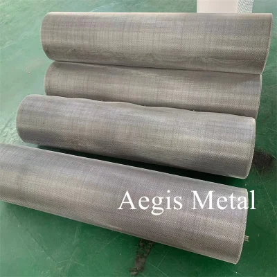 2205 2507 Duplex Stainless Steel Wire Woven Mesh Wide Width Net 30 40 Mesh in Stock