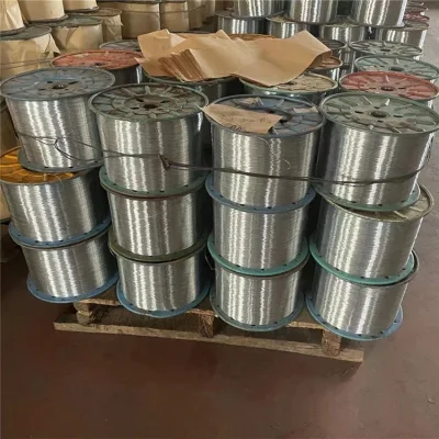 Steel Wire Spring Stainless Wire Form Spring Factory Direct Supply