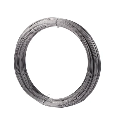 Ss Wire 304 304cu 316 201 316lvm 430 420 Er308L 309S Bright/ Tinny/Spring/Welding Stainless Steel Wire 310S Stainless Steel Wire Price