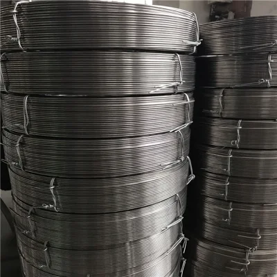 High Strength Factory Directly 304 304cu 316 201 316lvm 430 420 Er308L 309S Bright/ Tinny/Spring/Welding Stainless Steel Wire