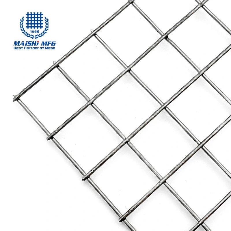 1/2 Inch Galvanized Welded Wire Mesh with Low Price