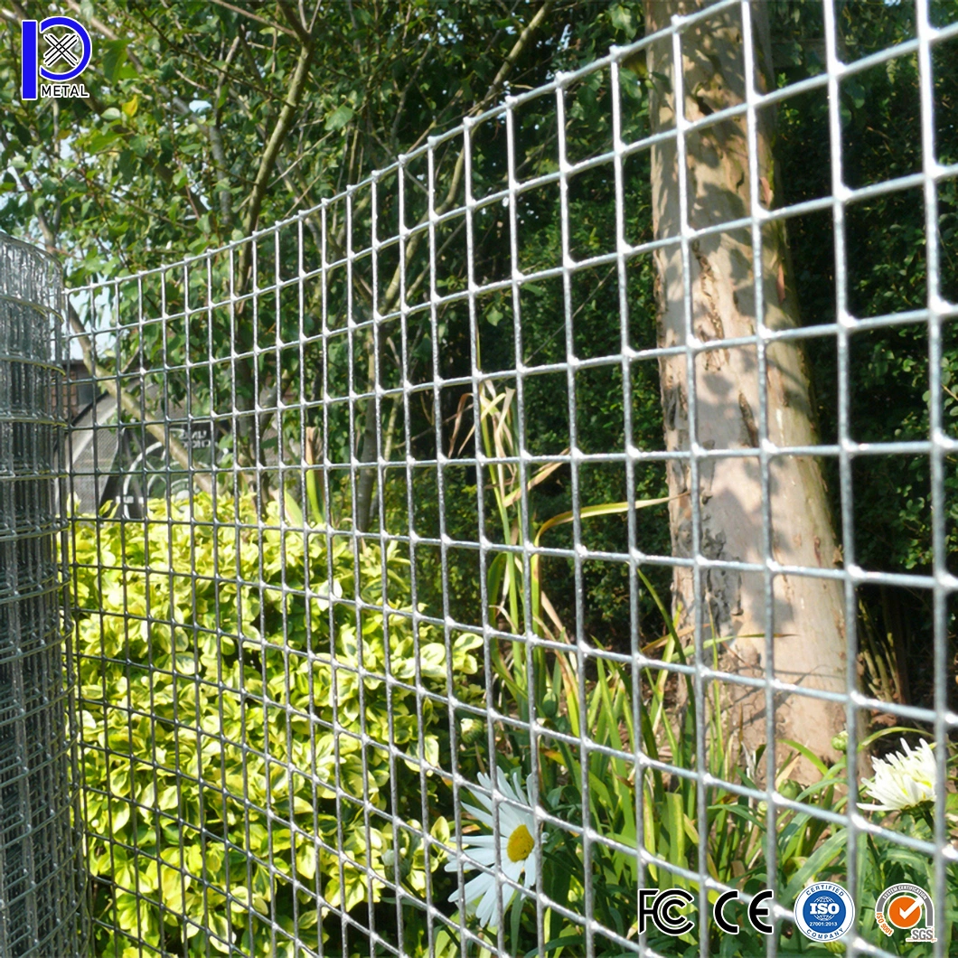 Pengxian 5/8 X 5/8 Inch PVC Coated Green Wire Mesh China Suppliers 12 Gauge PVC Coated Wire Mesh Used for Black Garden Mesh Fencing