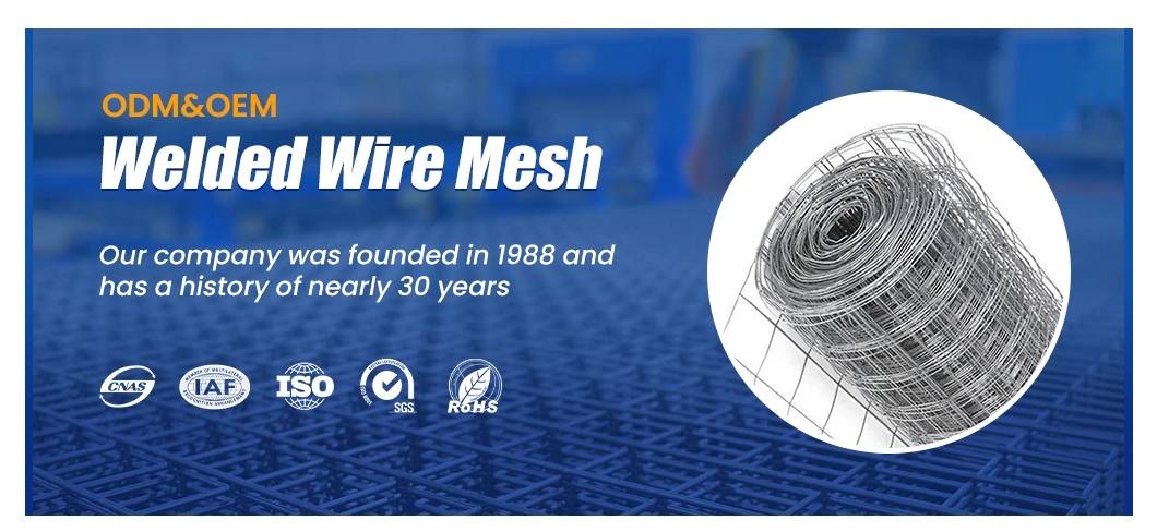 Zhongtai High Tensile Welded Mesh 12 X 12 X 2 X 1000mm X 15m 5X5cm Electro Galvanized Welded Wire Mesh China Manufacturers 48 2X4 Welded Wire Fence