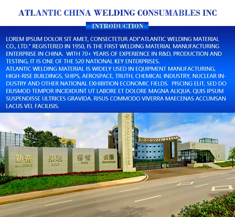 Atlantic OEM Wholesale Ex-Factory Price Cht308L Atlantic OEM Wholesale Ex-Factory Price Chtaws A5.22 1.6mm Flux Cored Welding Wire for Stainless Steels MIG Wire