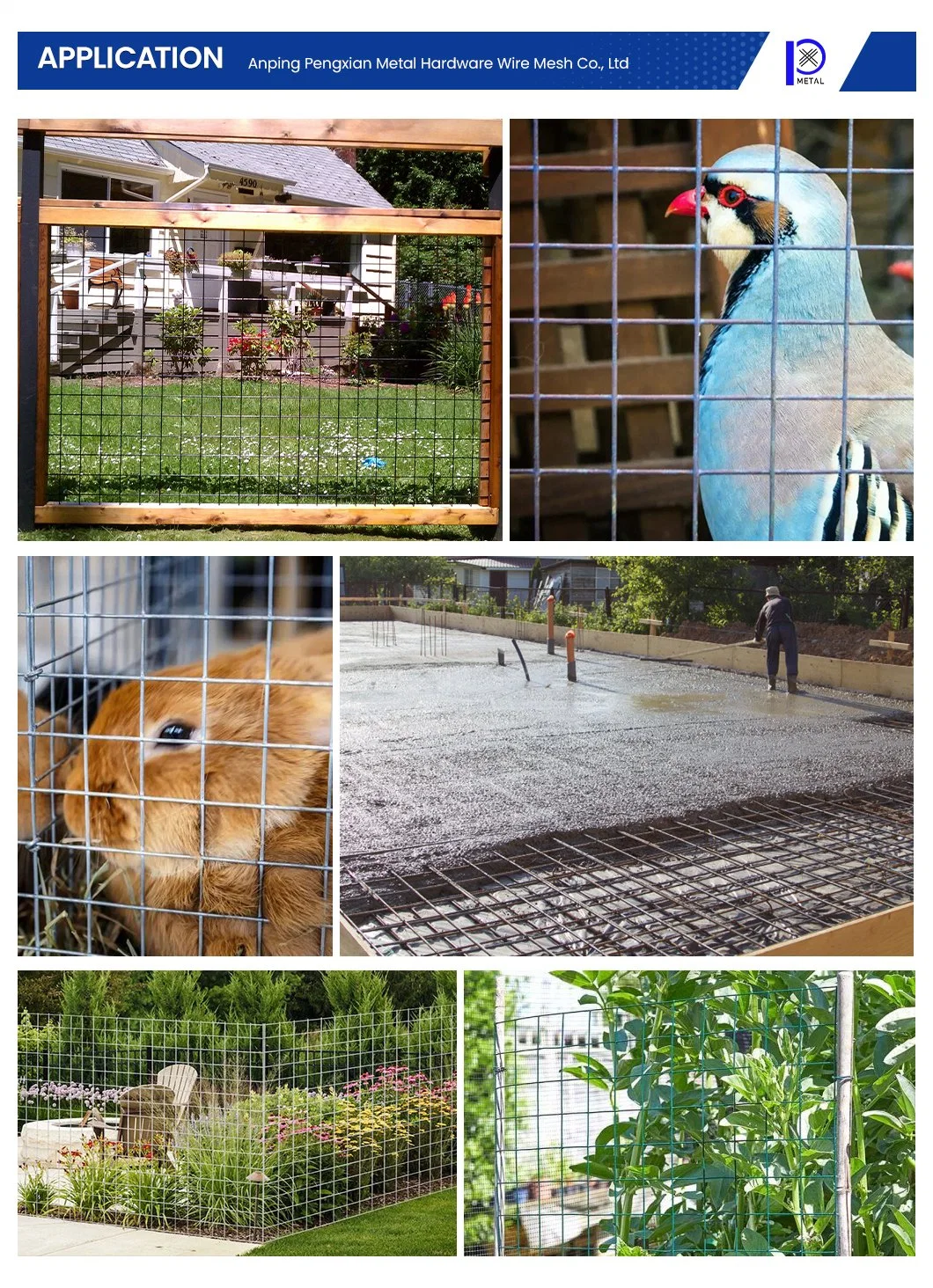 Pengxian 1 Inch X 1/2 Inch 2 X 2 Wire Mesh Panels China Factory Rabbit Welded Wire Mesh Used for Mesh Privacy Fence