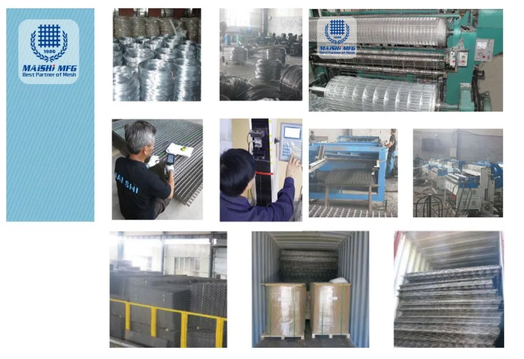 1/2 Inch Galvanized Welded Wire Mesh with Low Price