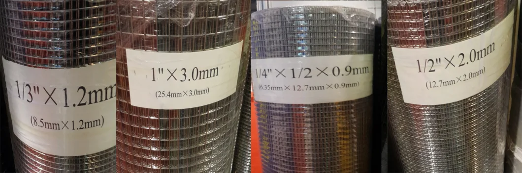 Galvanized/SUS304/SUS316 Stainless Steel Welded Wire Mesh for Wire Mesh Basket