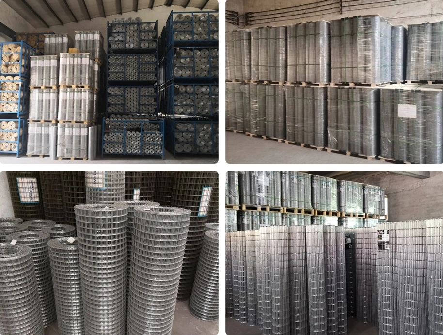 Stainless Steel, Hot DIP Galvanized L, Electro Galvanized, PVC Coated Welded Wire Mesh Panels Rolls for Garden Agriculture Poultry Animal Rabbit Cage