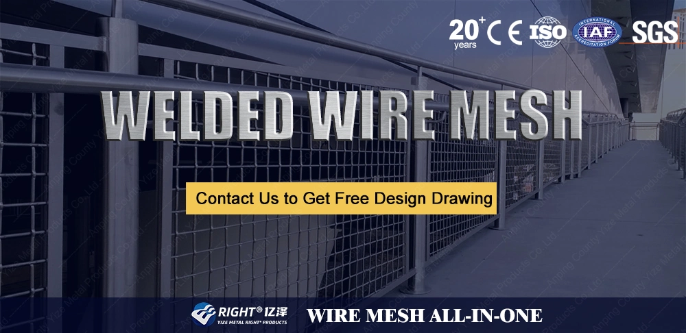 2 X 2 Inch Galvanized PVC Coated Welded Wire Mesh Panel
