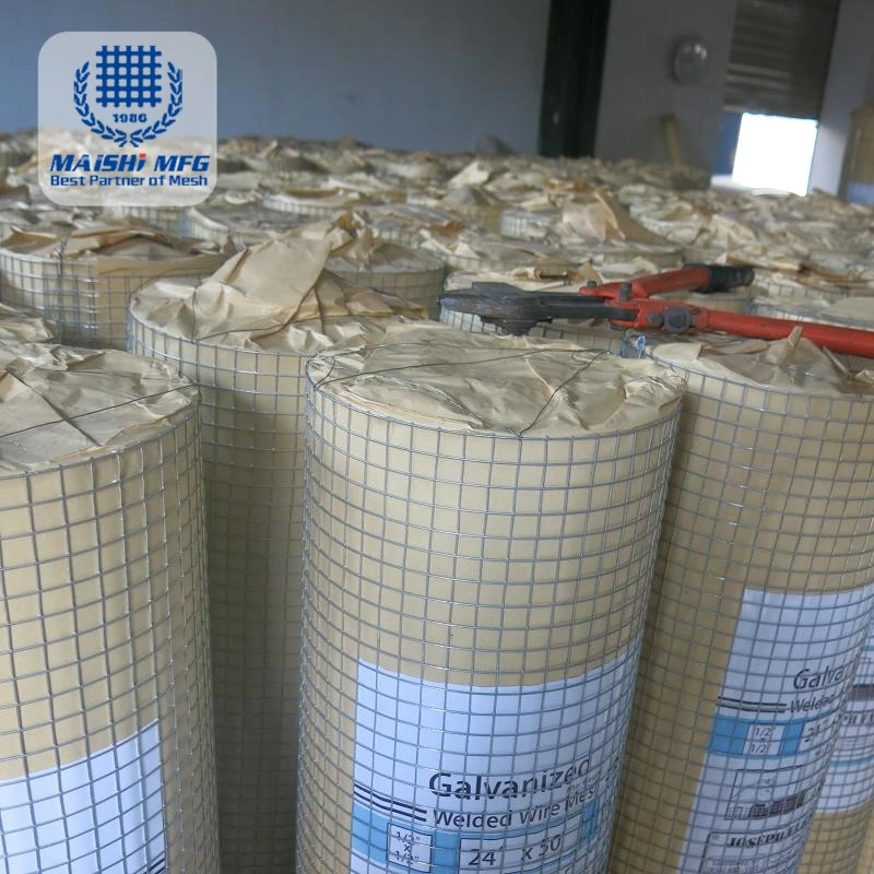 1/2 Inch Galvanized Welded Wire Mesh with Low Price