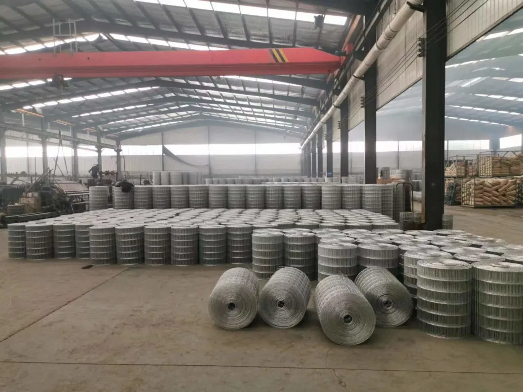 Stainless Steel, Hot DIP Galvanized L, Electro Galvanized, PVC Coated Welded Wire Mesh Panels Rolls for Garden Agriculture Poultry Animal Rabbit Cage