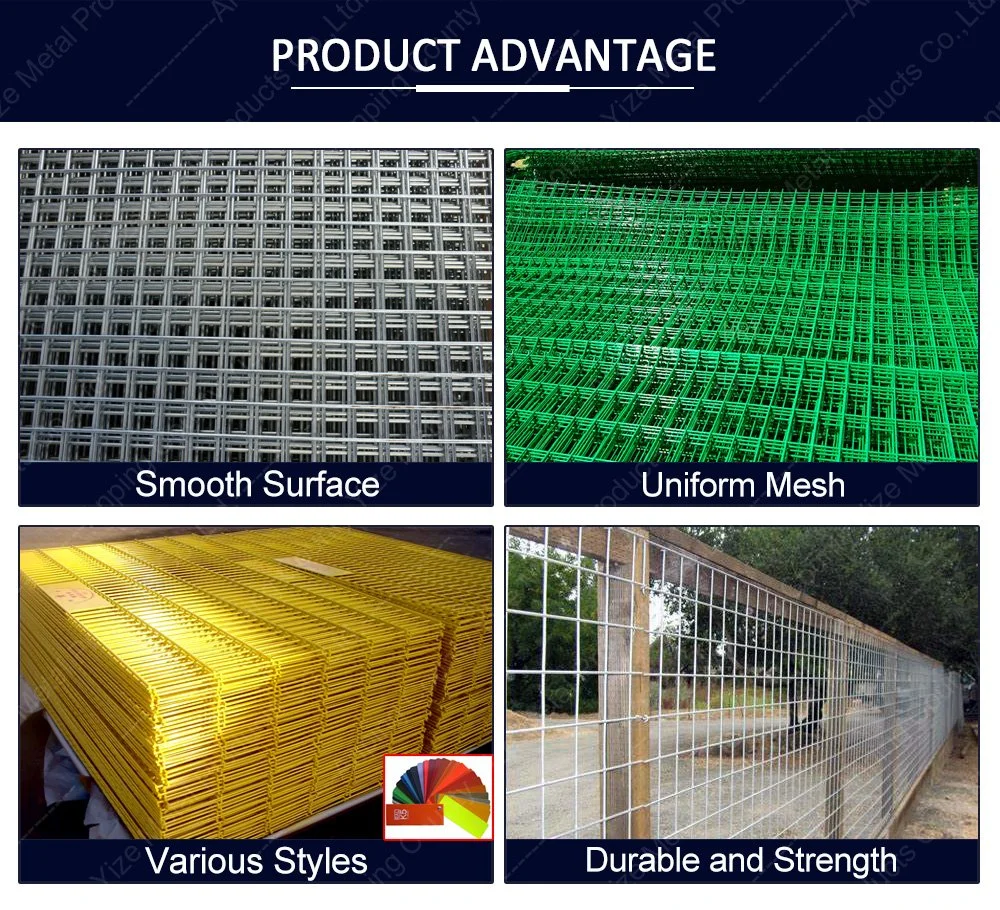 2 X 2 Inch Galvanized PVC Coated Welded Wire Mesh Panel
