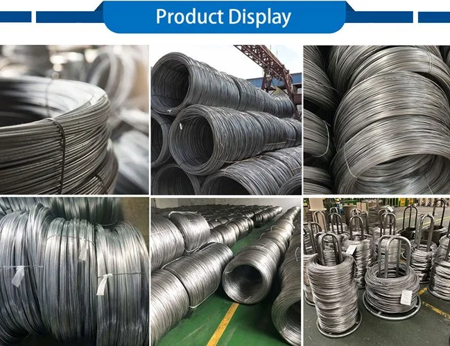 Factory Supply High Quality 201 301 302 304 304D 304h Stainless Steel Wire