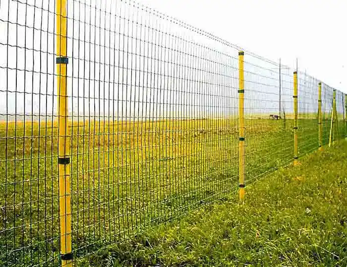 Yeead Euro-Welded Wire Fence China Wholesalers Welding Holland Fencing 2.0mm Wire Thickness Holland Dutch Wire Mesh