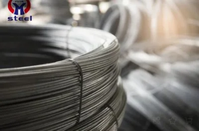 Los fabricantes ofrecen Alambrón de acero inoxidable redonda con 3mm de diámetro