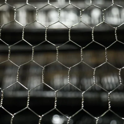 Calibre 8 de fábrica Galvanizado 2 X 2 alambre de hierro soldado Malla/alambre soldado Red