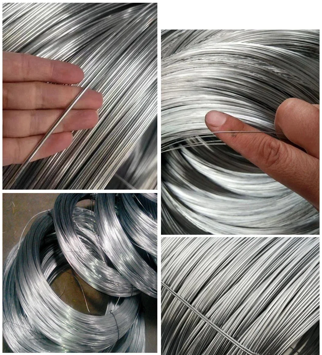 Tw1061t Binding Iron Gi Stainless Steel Rod Steel Carbon Steel China Brand 0.7mm 0.8mm 1.2mm 1.6mm 1.8mm 2mm Diameter Steel