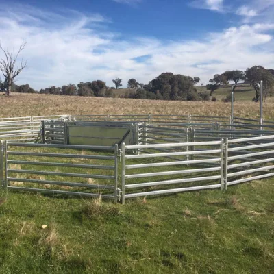 Cina basso costo metallo ovale Goat bestiame pecora Yard Panel