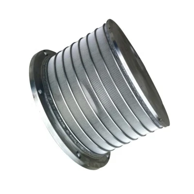 Anello flangiato facile installazione filtri rotativi a tamburo Johnson Wedge Wire