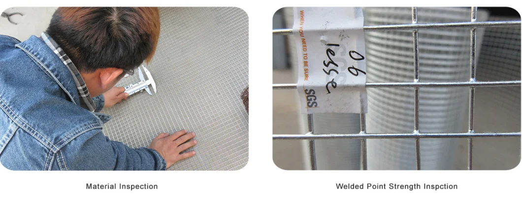 AISI 304 304L 316 316L Stainless Steel / Galvanized Matting Welded Wire Mesh Panels