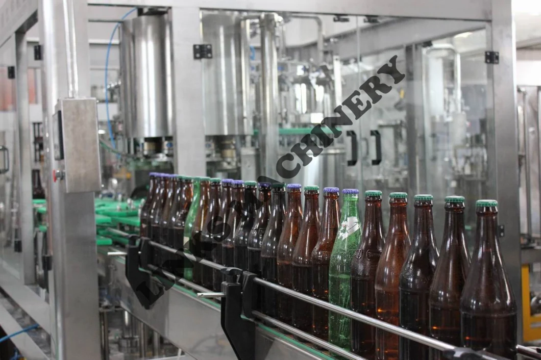 Complete Beverage Bottled Filling Machine Plant Line