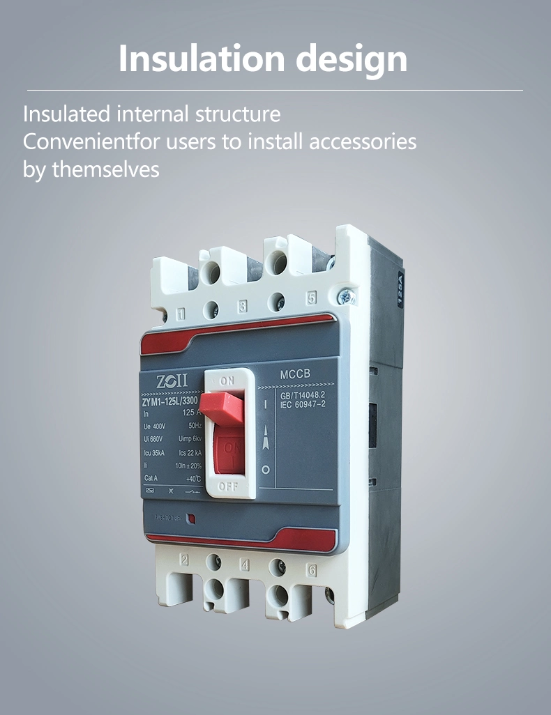 Zoii High Quality AC Moulded Case Circuit Breaker 100A 2p MCCB
