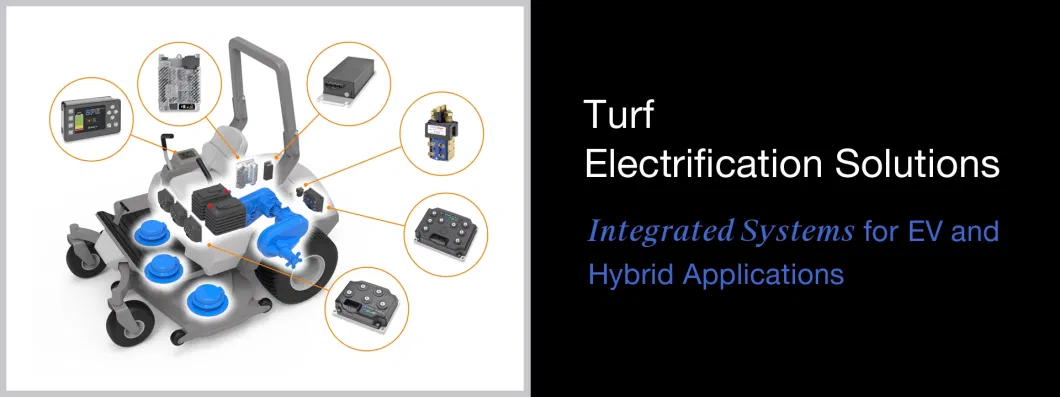 First-Selling Factory Supplied 36V 100A EV DC Contactor Spi-Sw80-2366