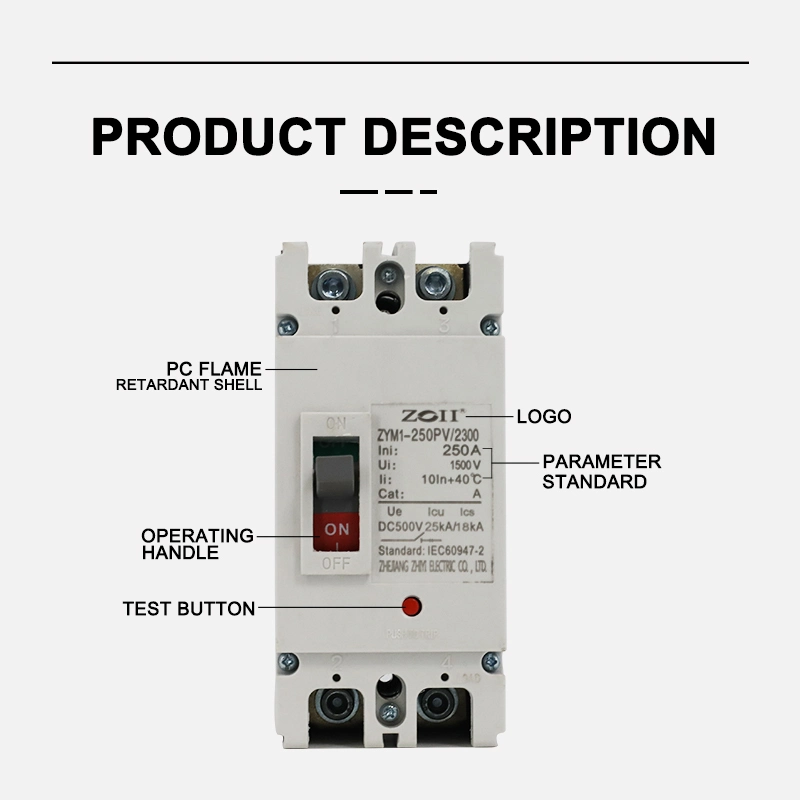 Zoii Factory Moulded Case Circuit Breakers 2 Poles MCCB 1000V MCCB 100A 125A 200A 250A 400A 50/60Hz