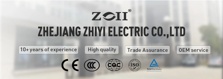 Zoii Factory Moulded Case Circuit Breakers 2 Poles MCCB 1000V MCCB 100A 125A 200A 250A 400A 50/60Hz