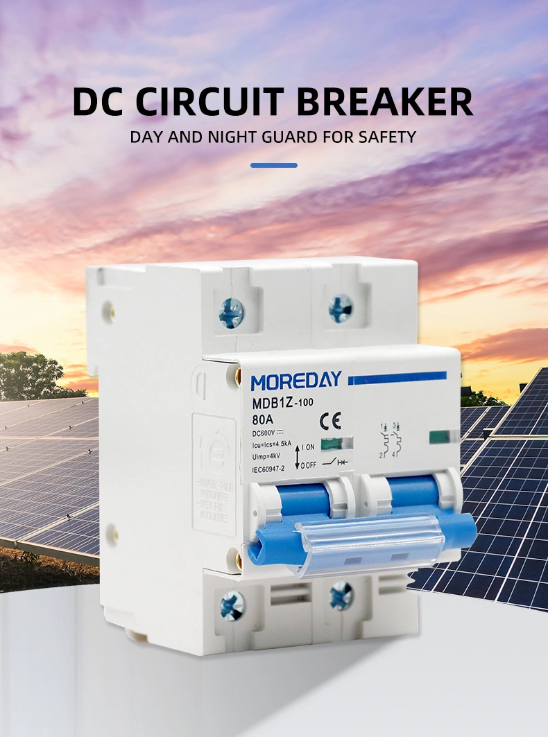 OEM China Factory Direct Sell Safety Solar DC MCB Dz47-125 Miniature Circuit Breakers for Retail 80A-125A