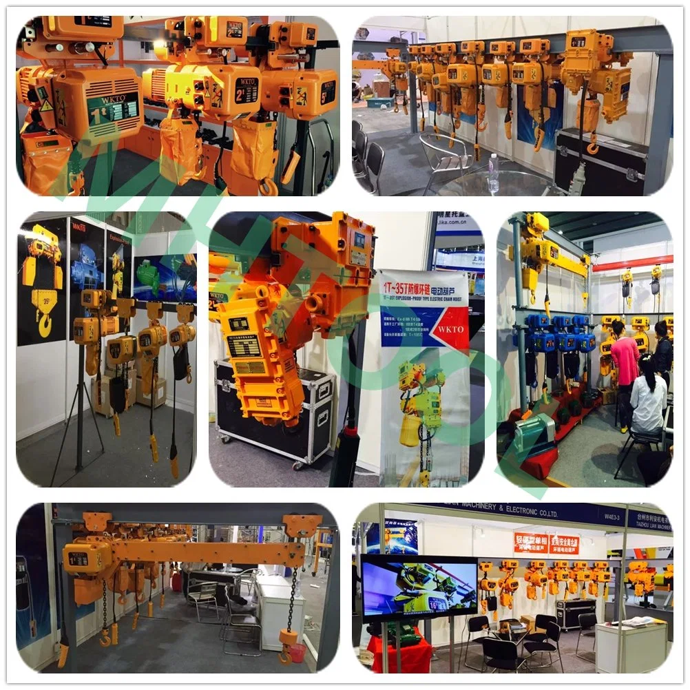 China Factory, Producer of The Anti-Explosive Electric Chain Hoist for 0.5t-60t Crane