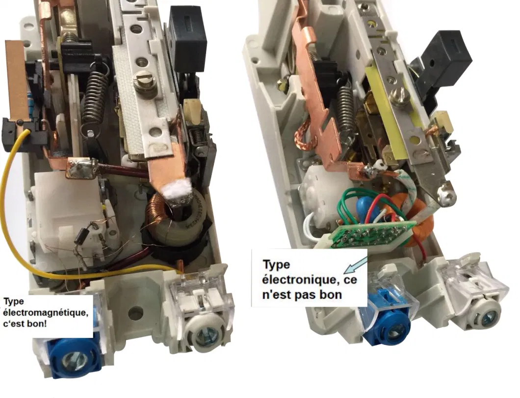 Pg Series Adjustable RCBO 2p, 4p Earth Leakage Circuit Breaker NFC61450 NFC62411