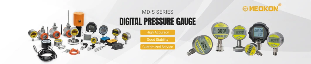 24VV Industrial Control Automatic Air Display Electric Contact Gauge Switches Digital Pressure Switch MD-S800V