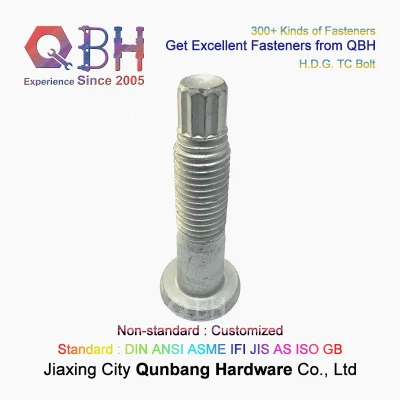  Qbh H. D. G. estructurales de acero pesado Control de tensión de cizallamiento Tc el tornillo de la Construcción Accesorios