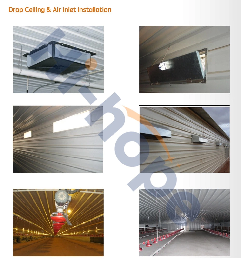 High Quality New Style Metal Building Steel Structure for Poultry House