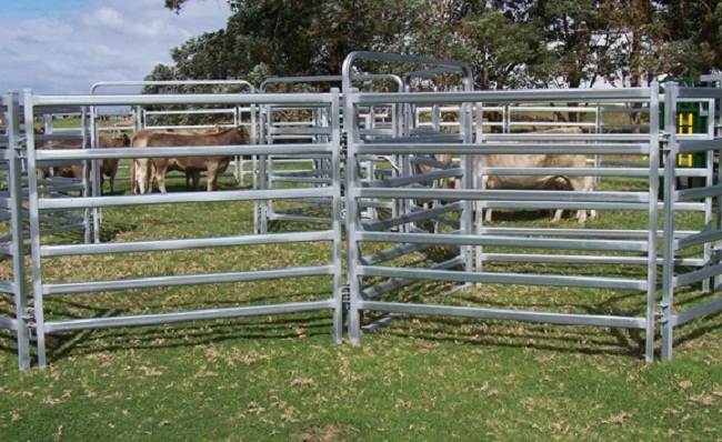 Galvanized Square Pipe Heavy Duty Alpaca Fence Panel / Goat Corral Steel Animal Fence