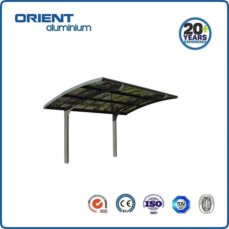 New Style Designer Car Roof Tent Metal Carport for Promotion