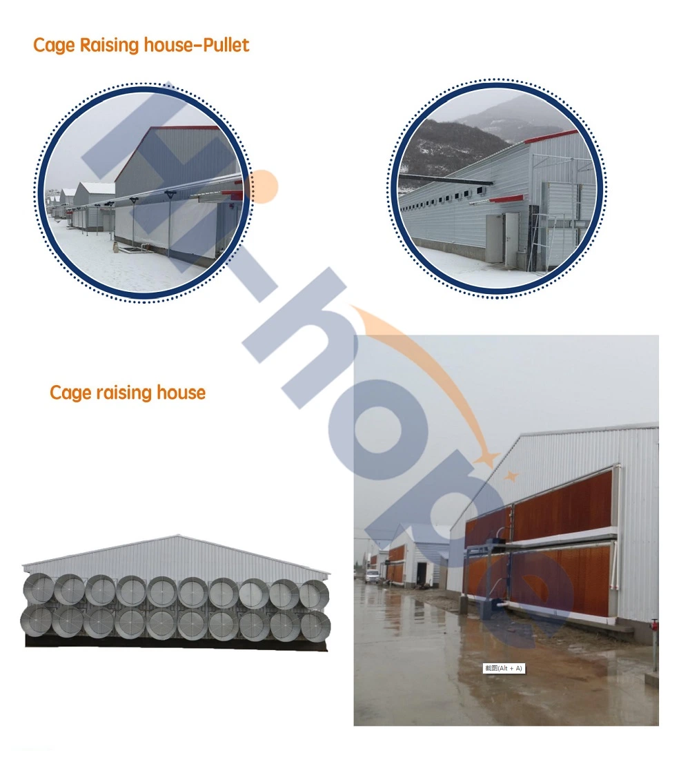 High Quality New Style Metal Building Steel Structure for Poultry House